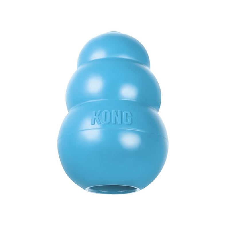Kong Puppy