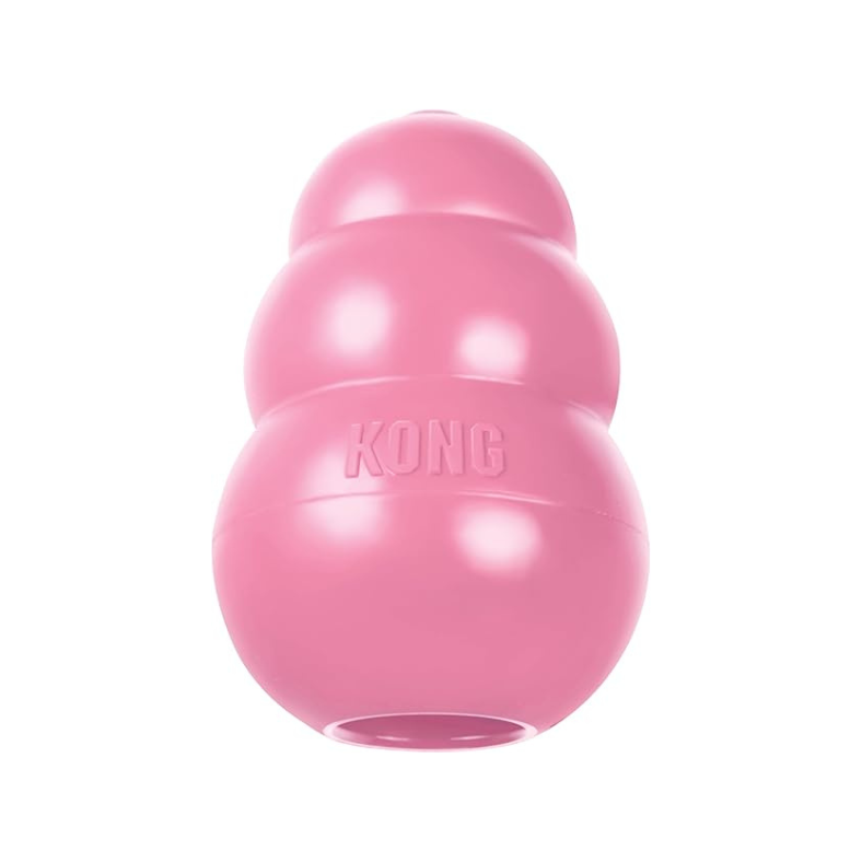 Kong Puppy