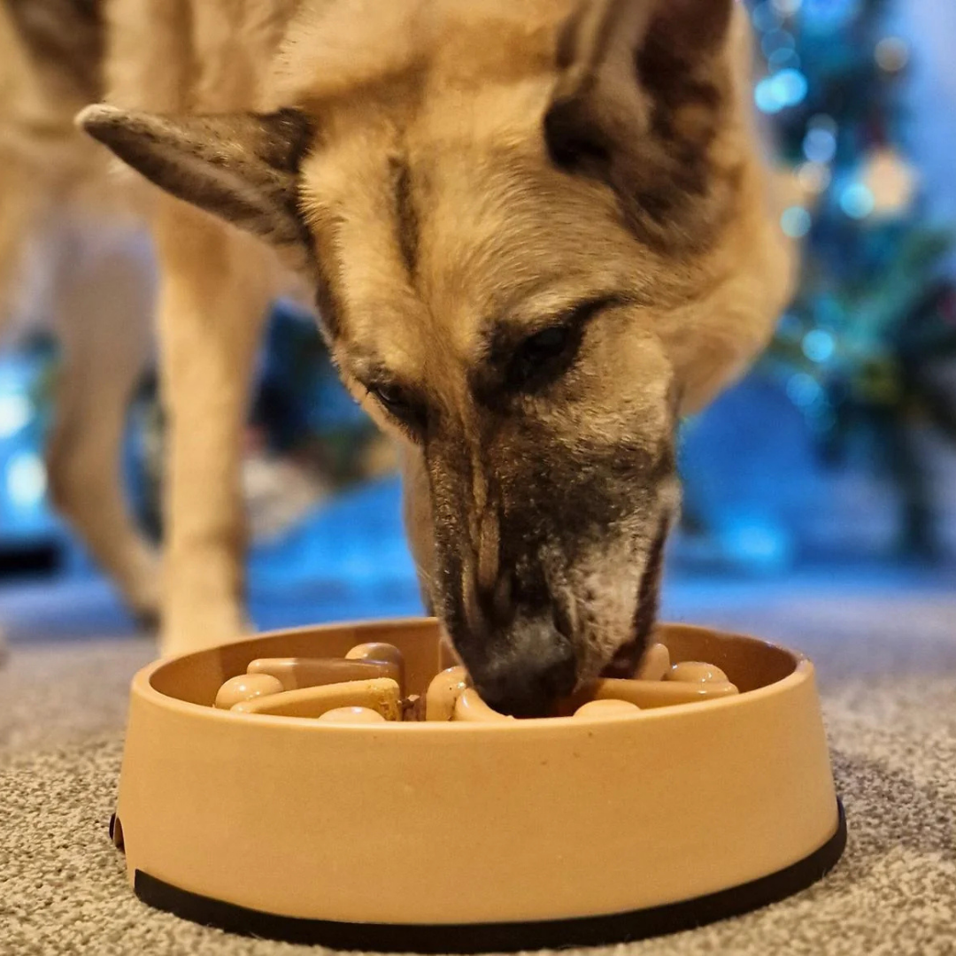 Slow Feeder Enrichment Bowl