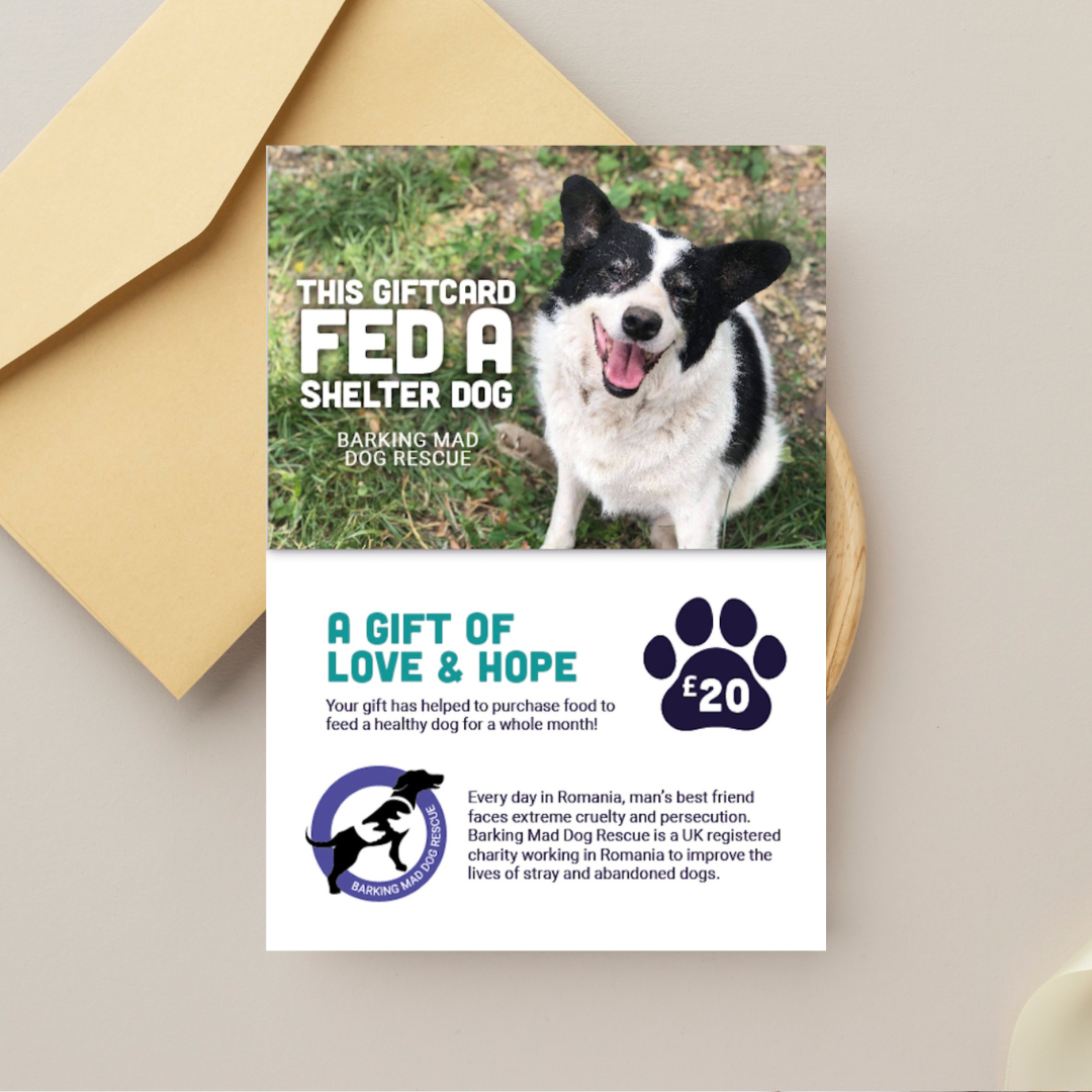 Gift of Love and Hope Card
