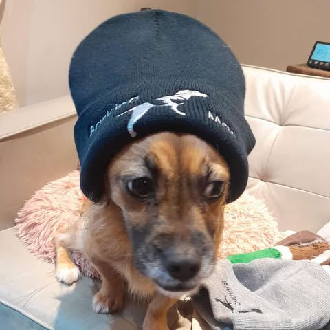 Barking Mad Dog Rescue Beanie