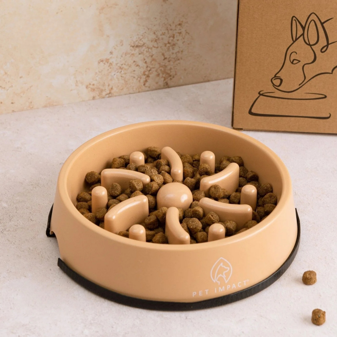 Slow Feeder Enrichment Bowl