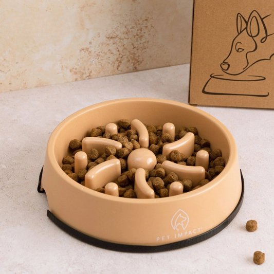 Slow Feeder Enrichment Bowl