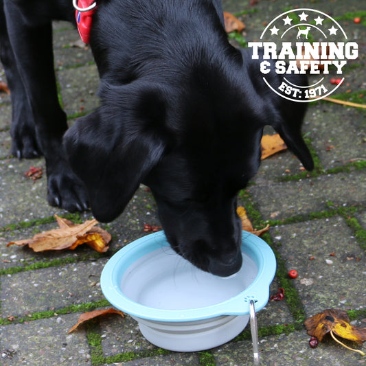 Ancol Collapsible Travel Bowl