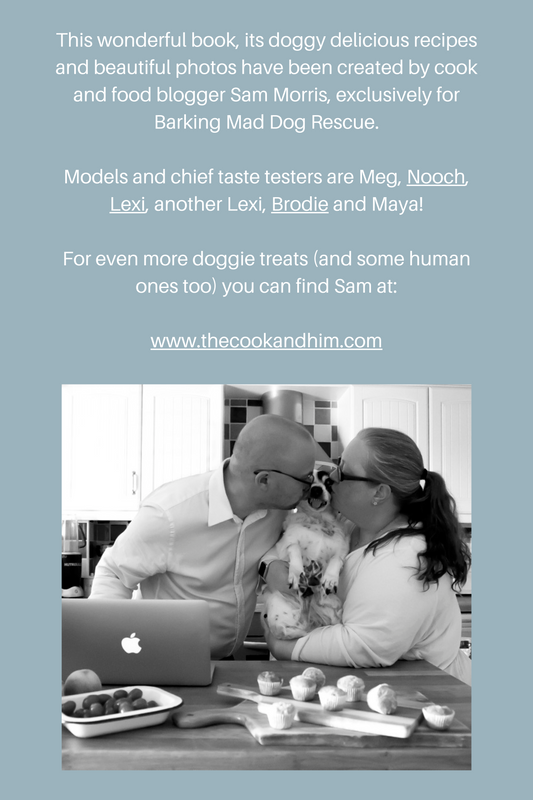 Dog Treat Recipe Book