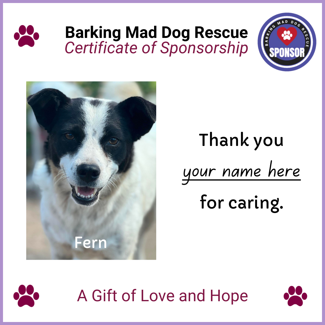 Sponsor a Dog