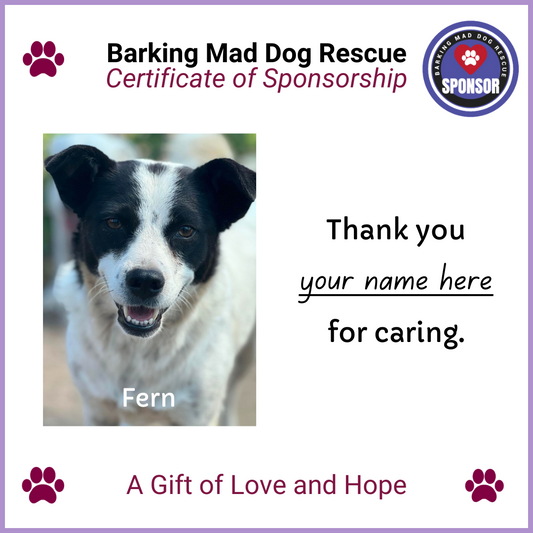 Sponsor a Dog