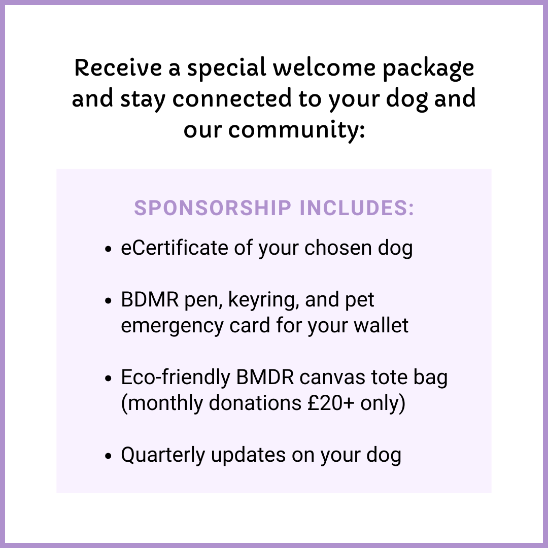 Sponsor a Dog