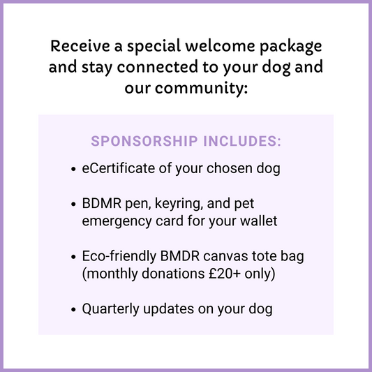 Sponsor a Dog