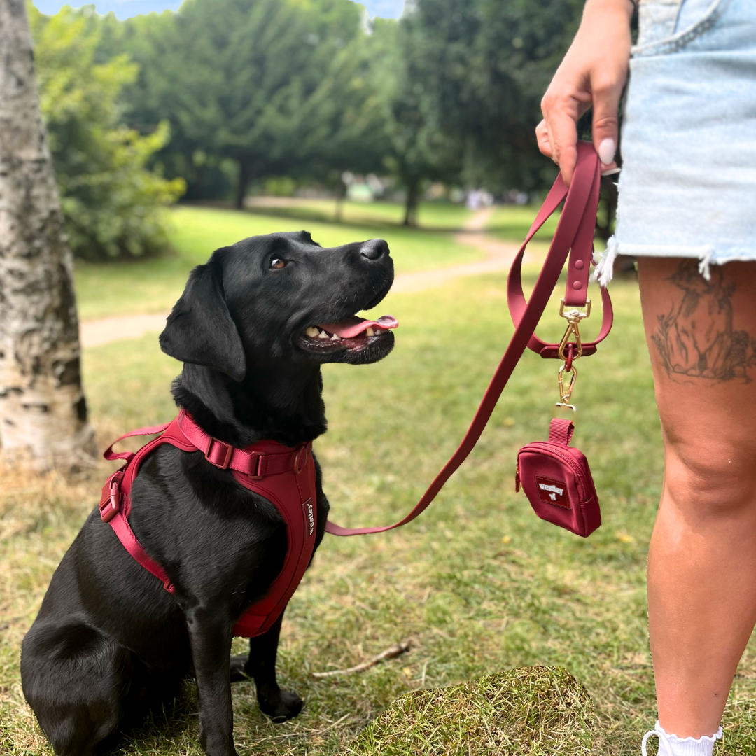 Westley Treat Pouch