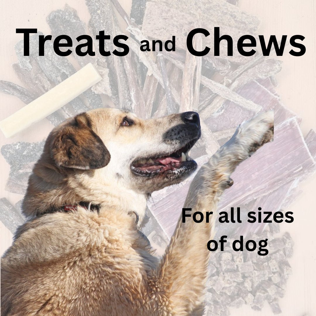 Treats & Chews