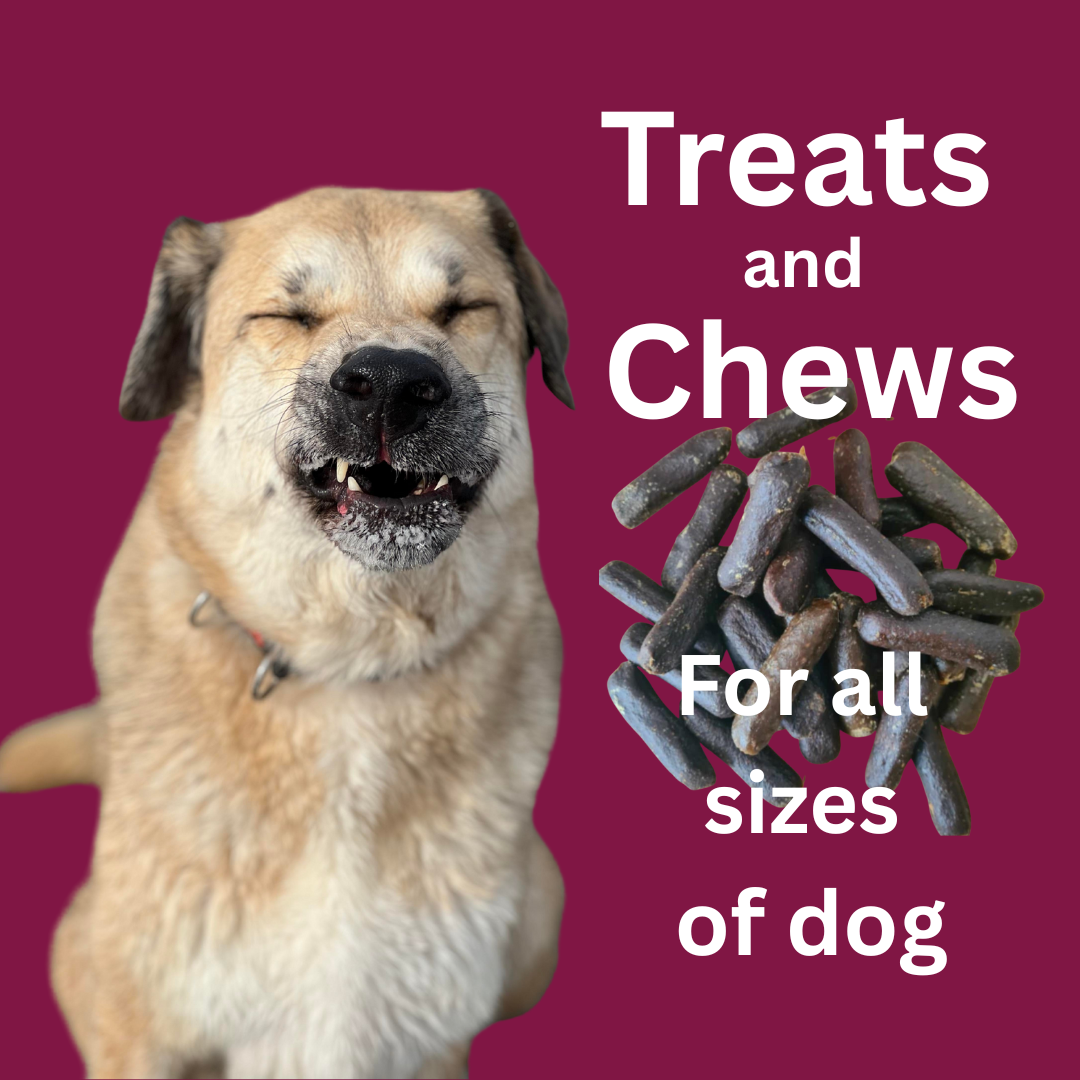 Treats & Chews