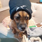 Barking Mad Dog Rescue Beanie