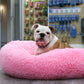 Supersoft Plush Donut Bed
