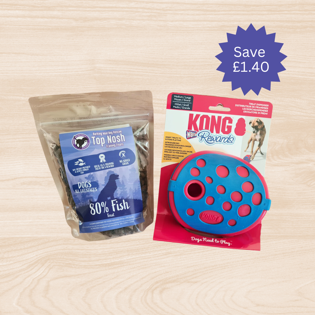 Kong Rewards Wally & BMDR Treats Bundle