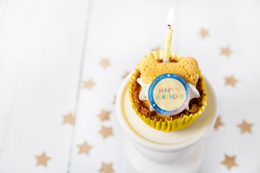 Birthday Pupcake