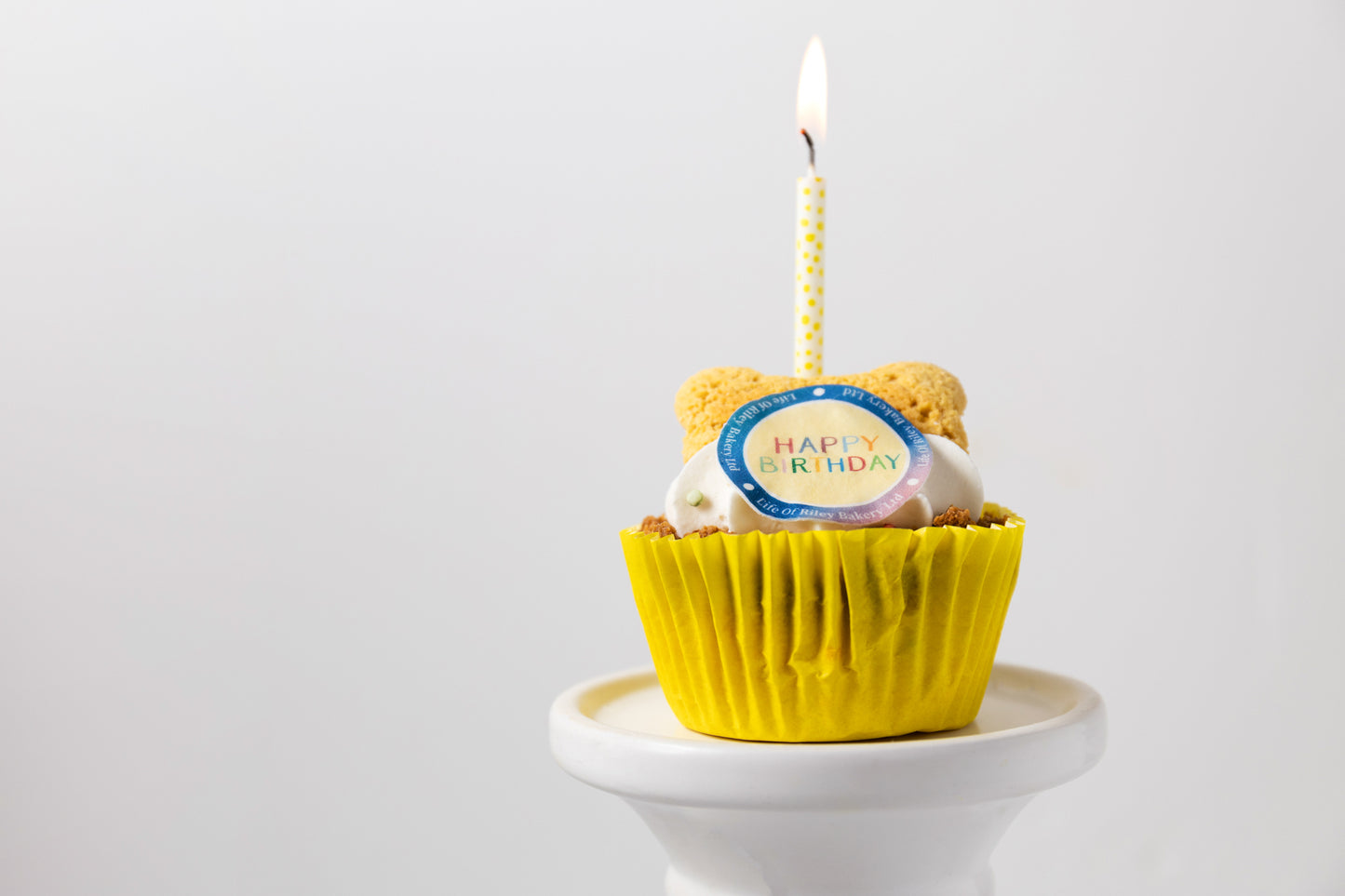 Birthday Pupcake