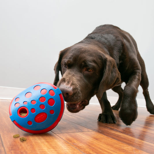 Kong Rewards Wally  - Treat Dispenser