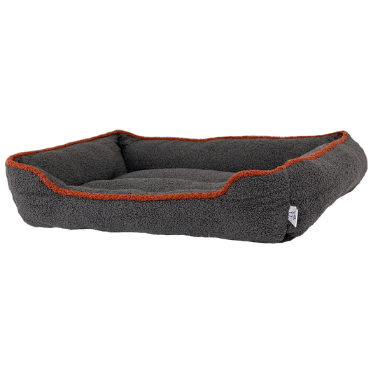 Teddy Beds