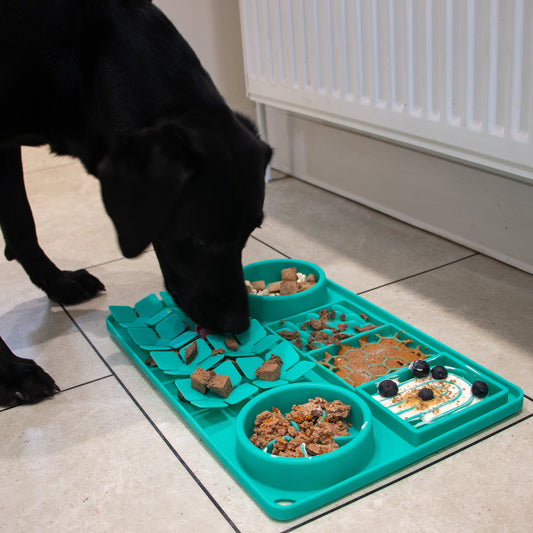 Orva Slow Feeding Station