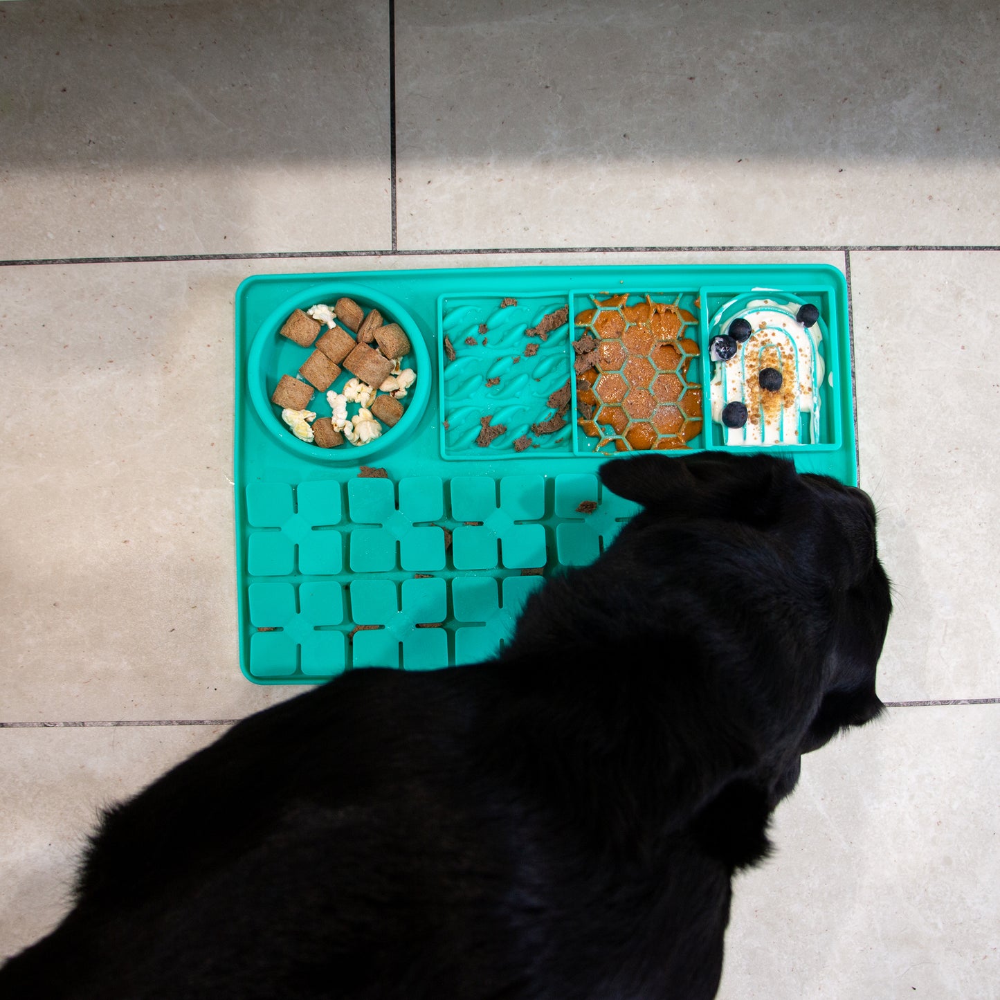 Orva Slow Feeding Station