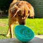 Orva Wobble Lick  Bowl - enrichment