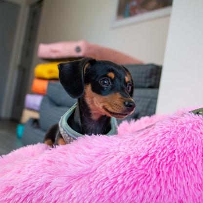 Supersoft Plush Donut Bed